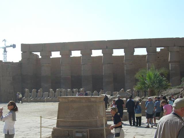 Bild 264