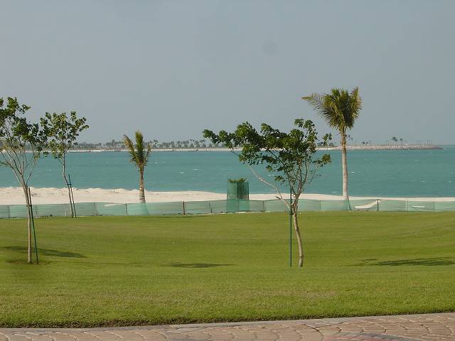 Bild 264