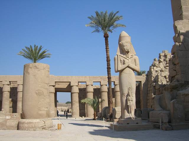 Bild 264