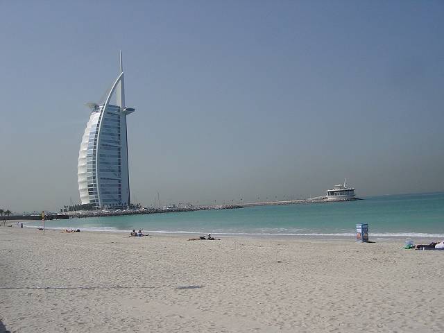 Bild 264