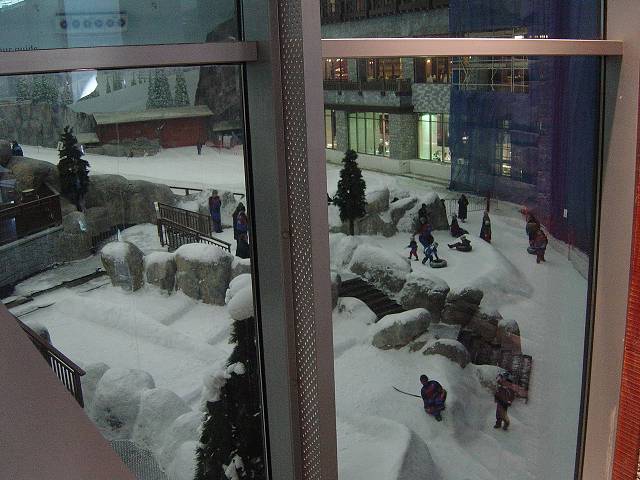 Bild 264