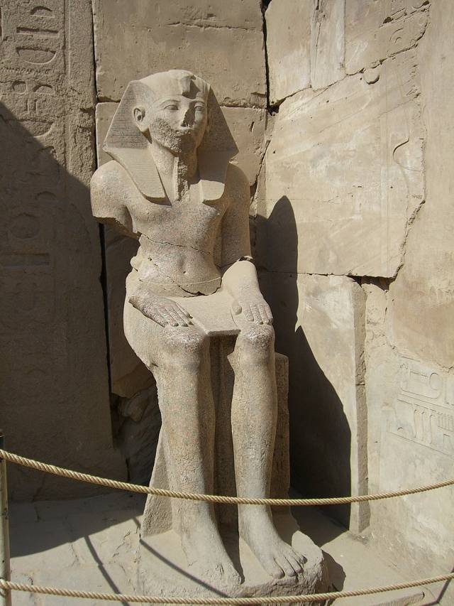 Bild 264