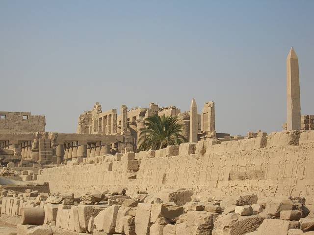 Bild 264