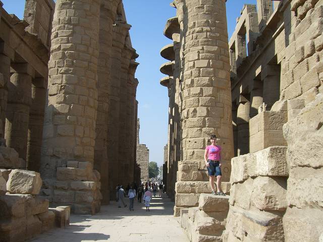 Bild 264