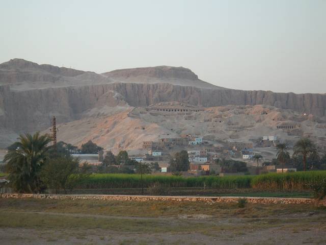 Bild 264