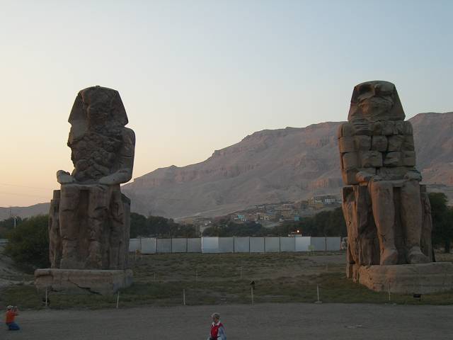 Bild 264