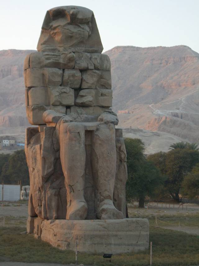 Bild 264