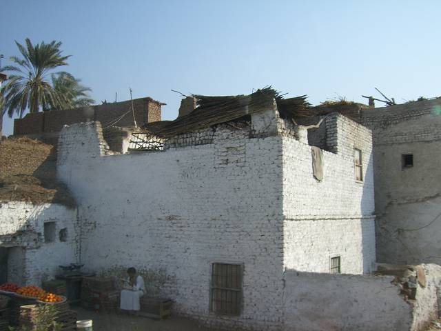 Bild 264