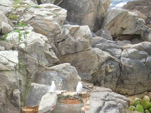 Bild 168