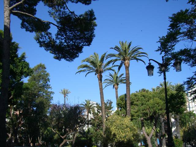 Bild 168