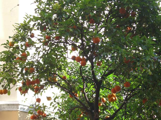 Bild 168