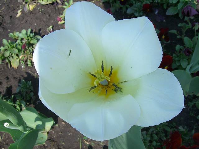 Bild 168