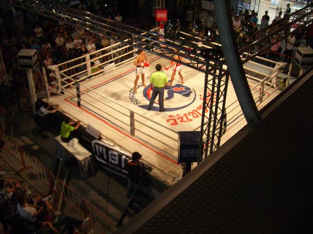 Bild 528