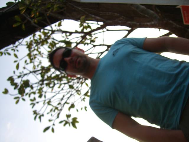 Bild 528