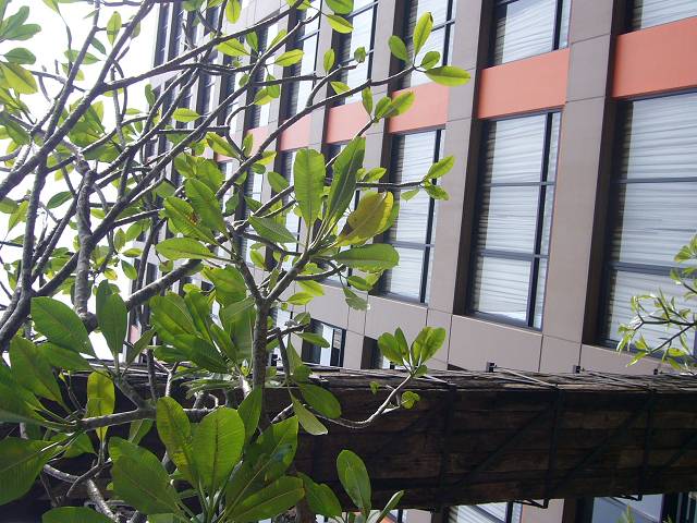 Bild 528