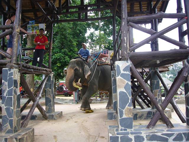 Bild 528