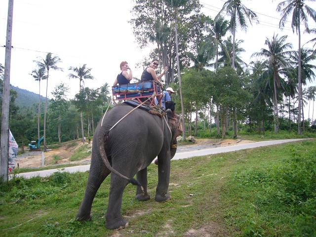 Bild 528