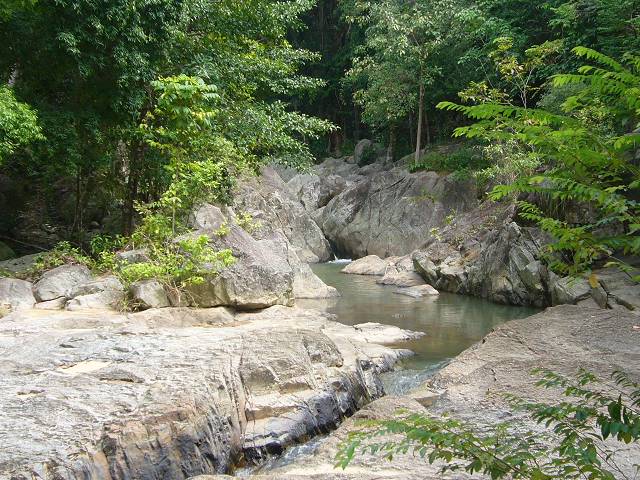 Bild 528