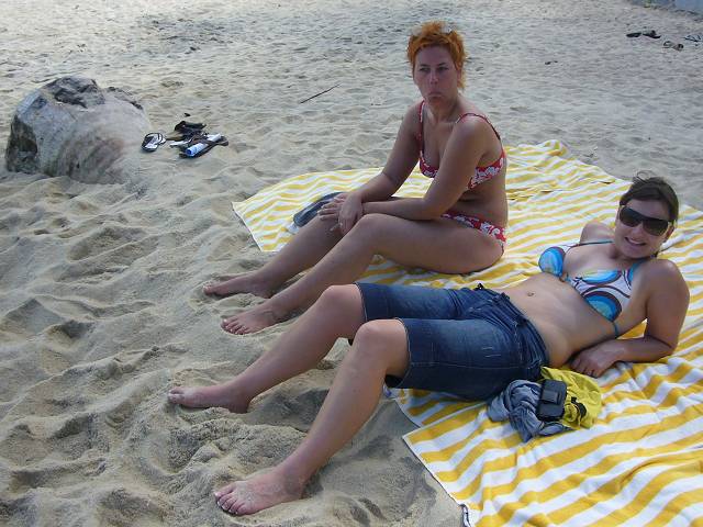 Bild 528