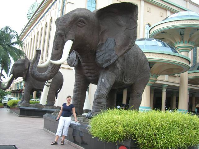 Bild 528