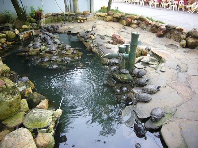 Bild 528