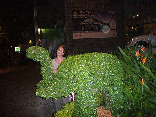 Bild 528