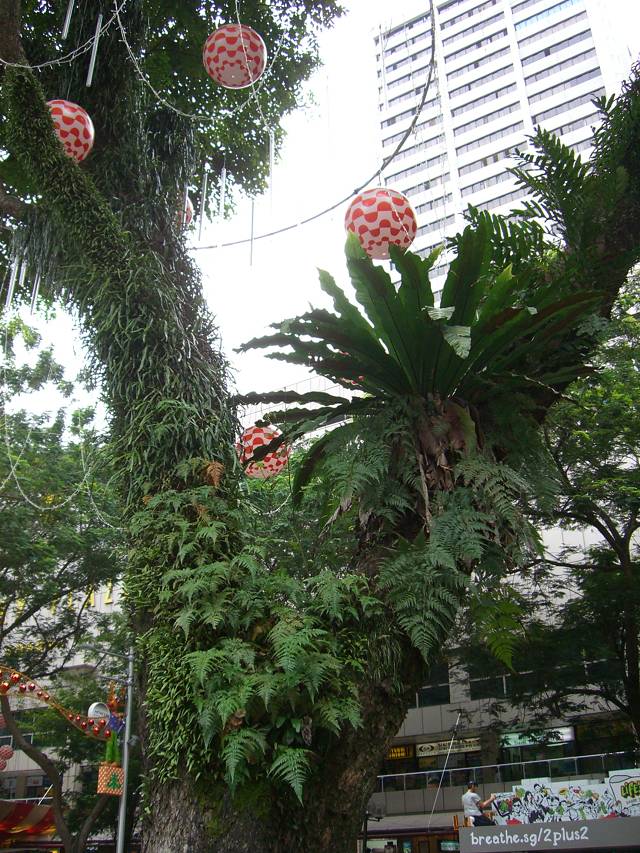 Bild 528