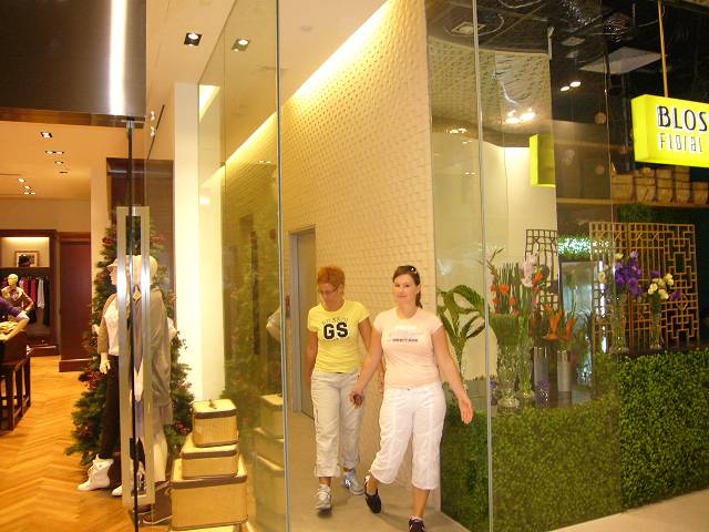 Bild 528