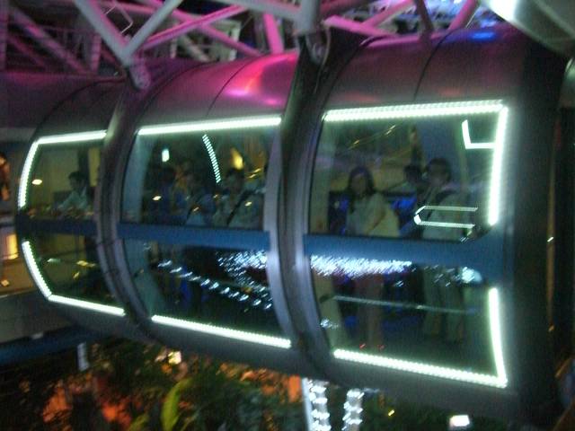 Bild 528