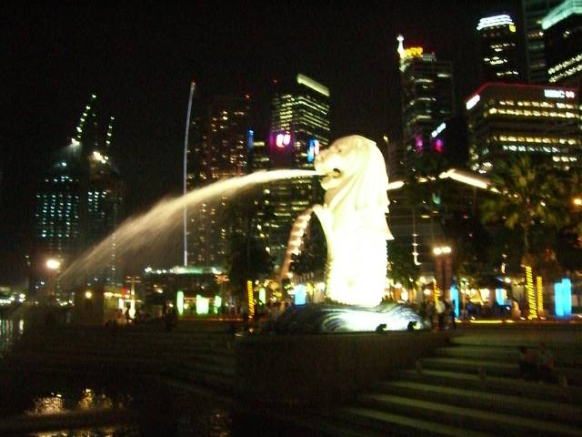 Bild 528