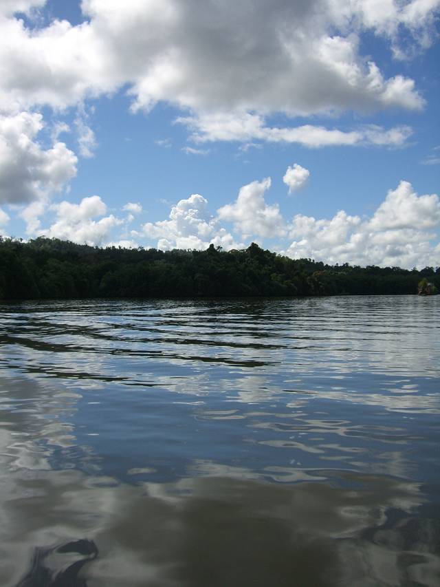 Bild 528