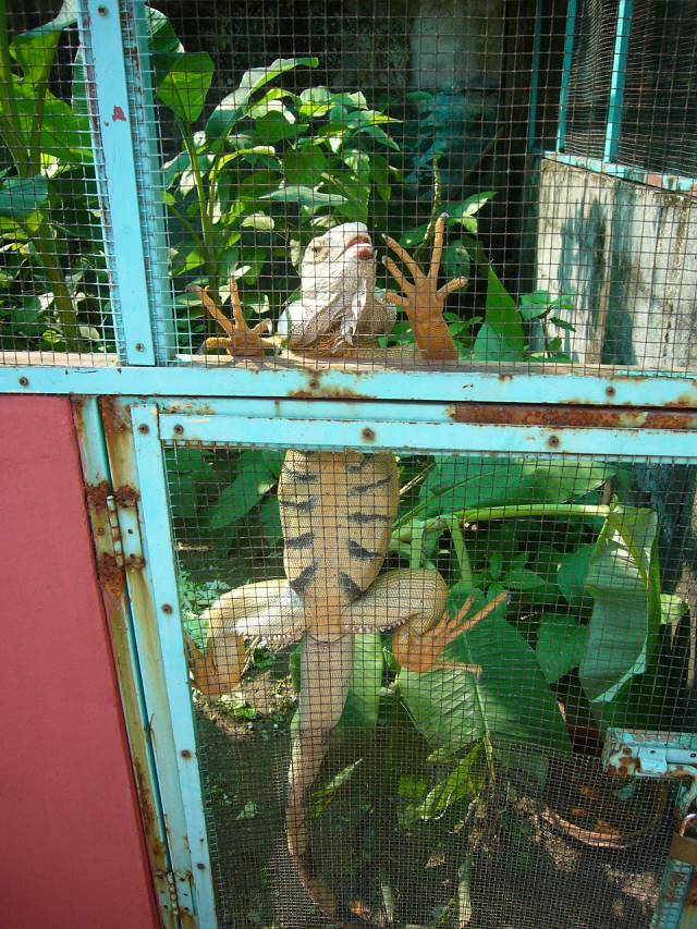 Bild 528