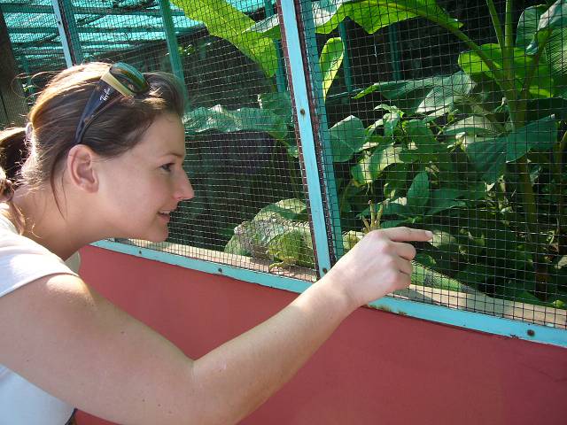 Bild 528