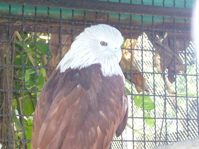 Bild 528