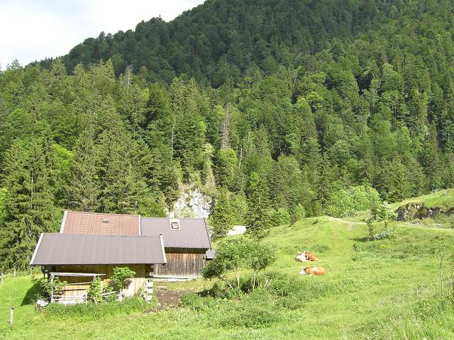 Bild 168