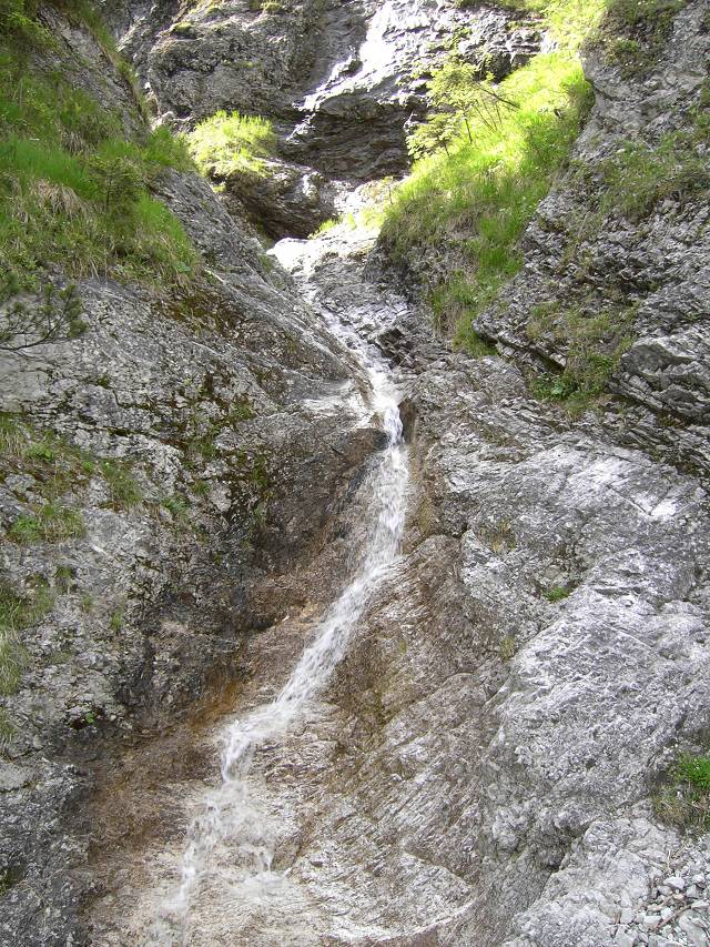 Bild 168
