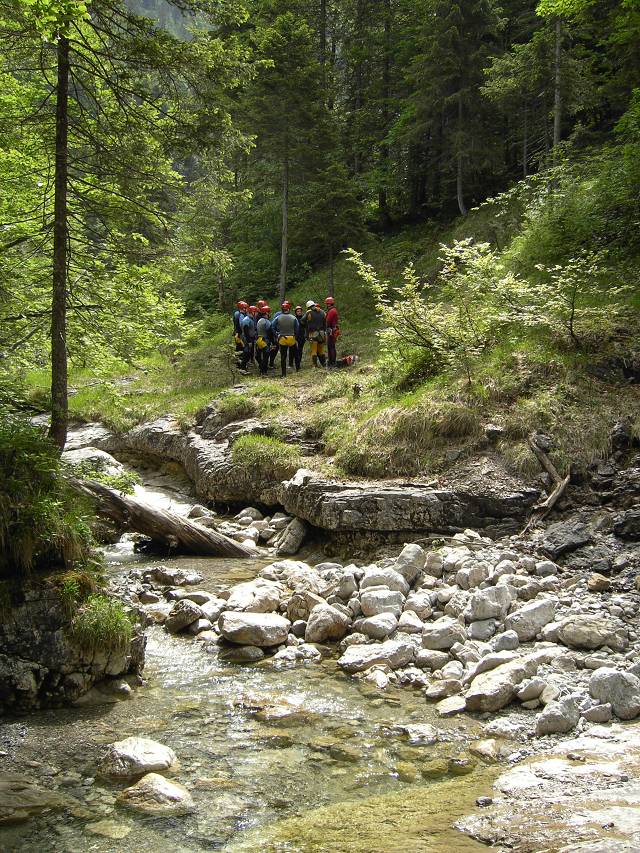 Bild 168