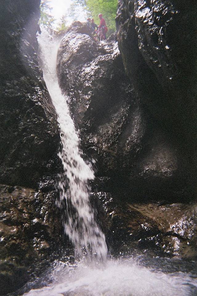 Bild 168