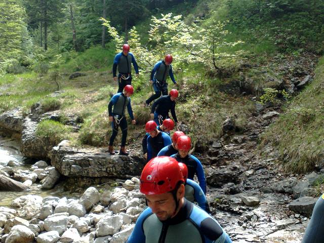 Bild 168