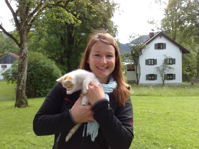 Bild 168