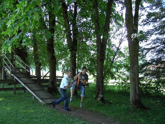 Bild 168