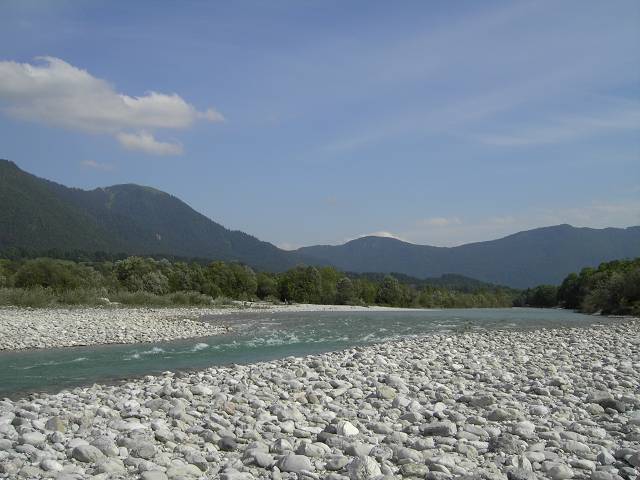 Bild 168