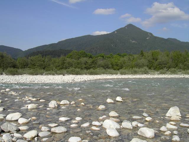 Bild 168
