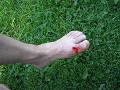 Thumb 97