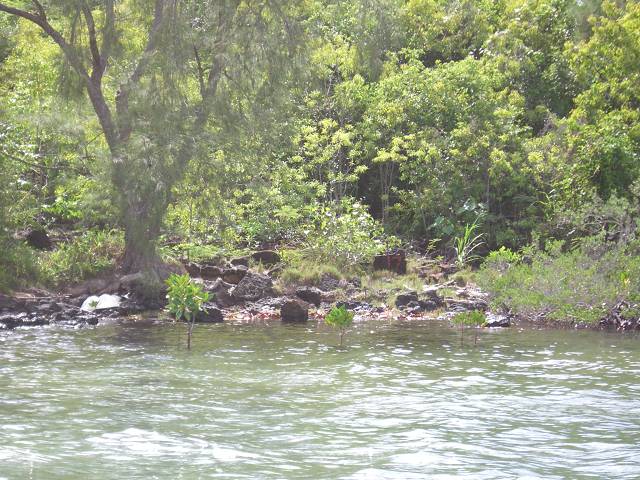 Bild 168