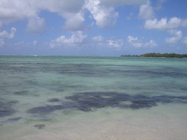 Bild 168