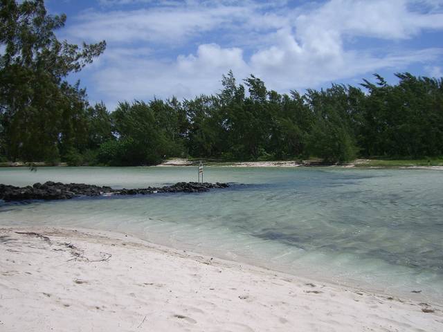 Bild 168