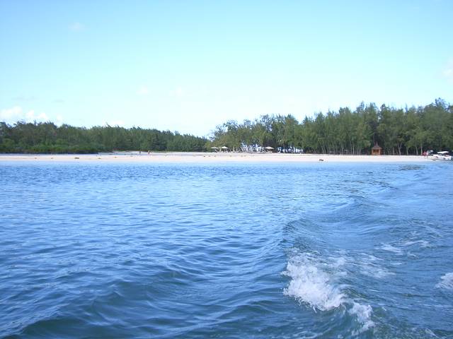 Bild 168
