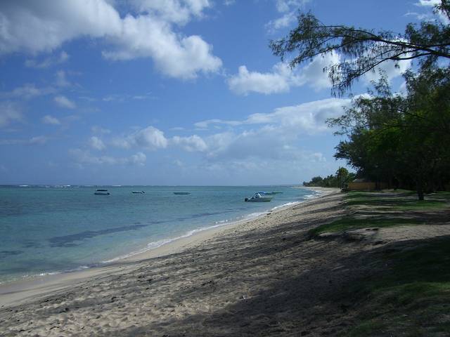 Bild 168
