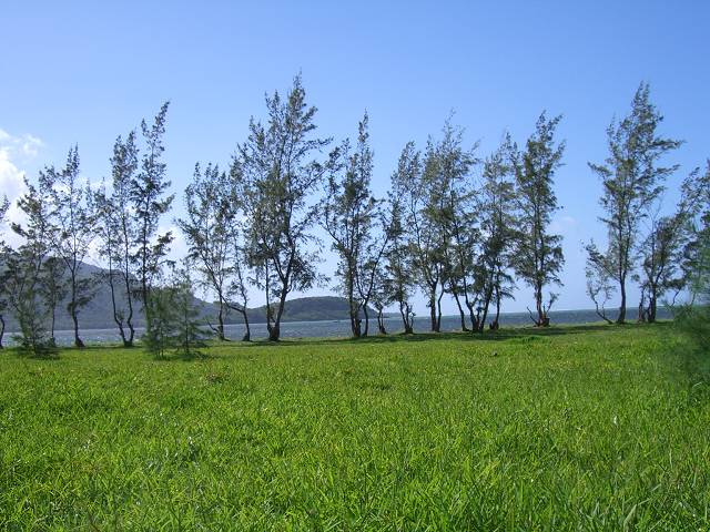Bild 168